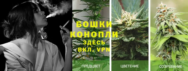 Каннабис OG Kush  blacksprut онион  Пугачёв 